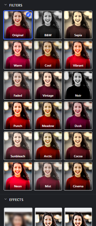 The filters (preset looks)